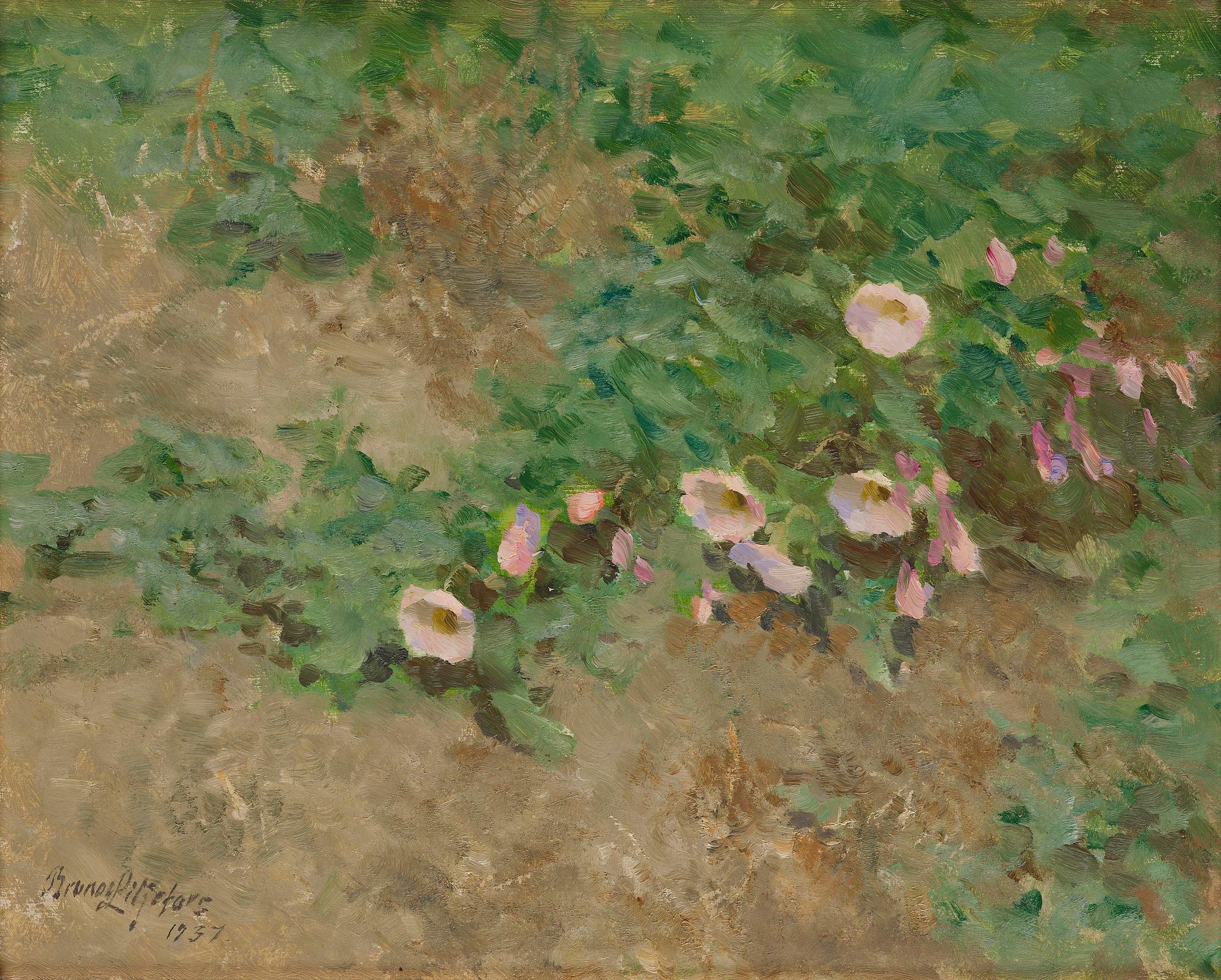 Bruno Liljefors, ("Åkervinda") "Field bindweed".
