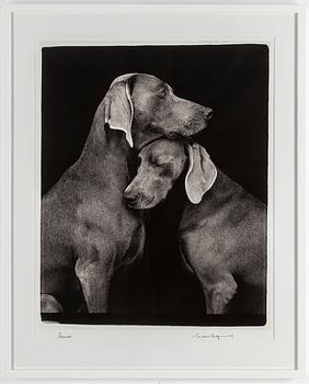 WILLIAM WEGMAN, photograph, signed and dated -09.