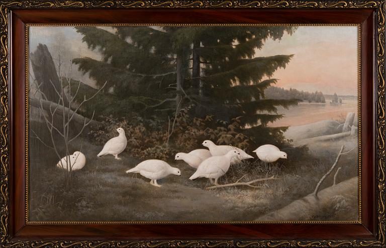 Ferdinand von Wright, PTARMIGANS.