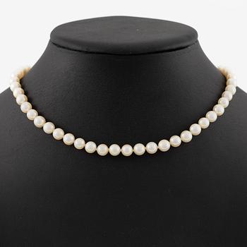 Necklace of cultured pearls with clasp in 18K gold set with white and red stones.