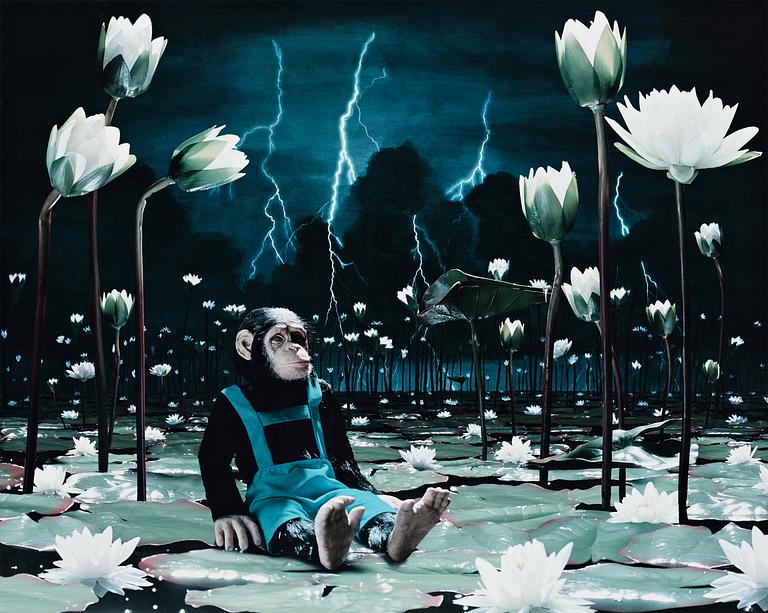 Helena Blomqvist, "Waterlilies", 2008.