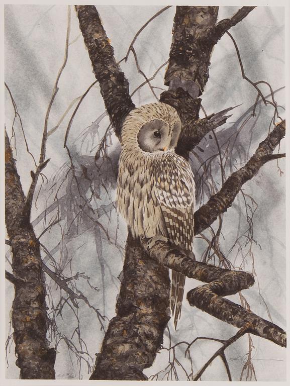 Jonas Nilsson, färglitografi, 1992, signerad EA VI/XVI.