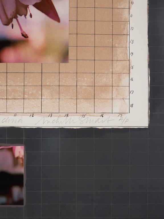 Michelle Stuart, "Correspondences: Time Connecticut Fuchsia".