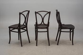 STOLAR, 4 st. Thonet, 1900-tal.