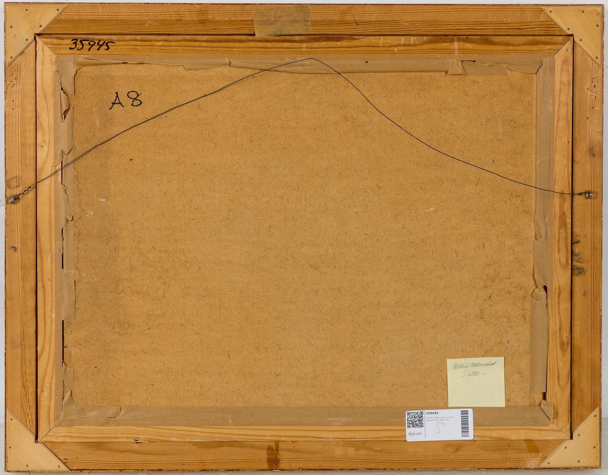 Pekkila Möllerswärd, Vy mot Uppsala från väster.