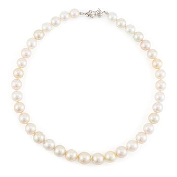 639. A necklace with cultured South Sea pearls.