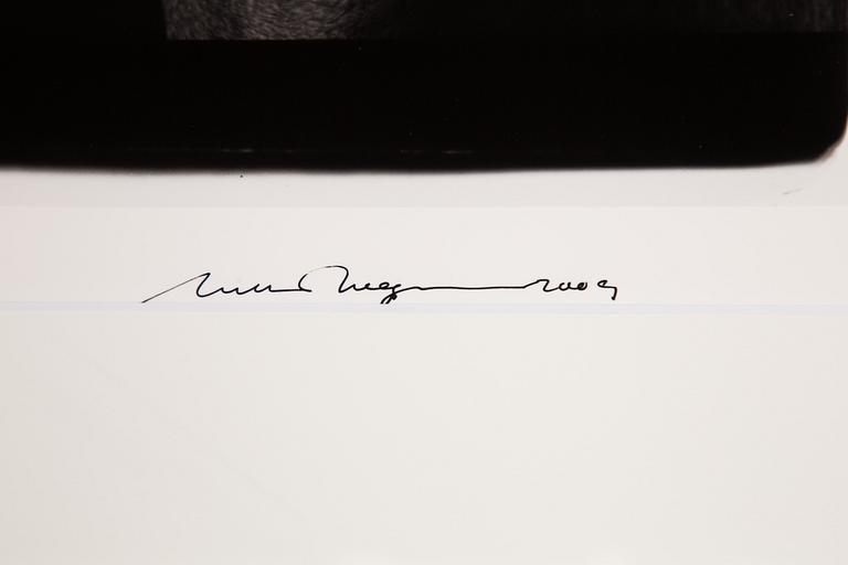 William Wegman, "Friends".