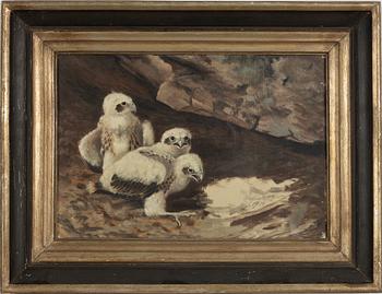 Matti Karppanen, Kungsörnsungar.