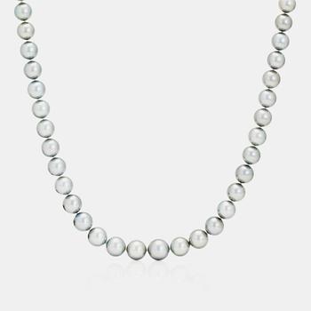 1185. A cultured tahiti pearl necklace.