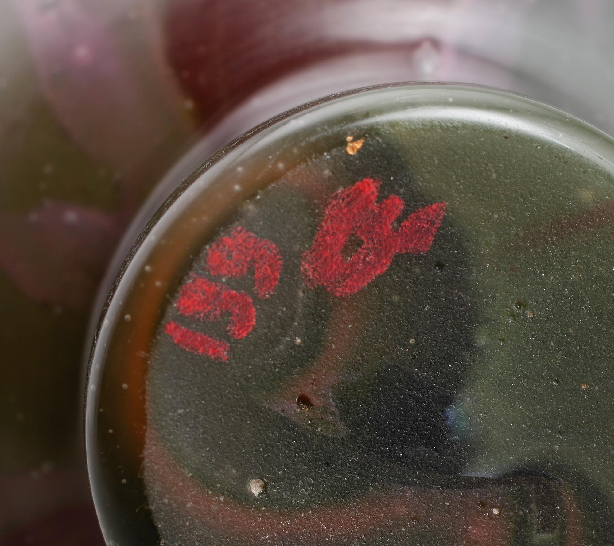 ÉMILE GALLÉ, vas, glas, signerad, Frankrike, tidigt 1900-tal.