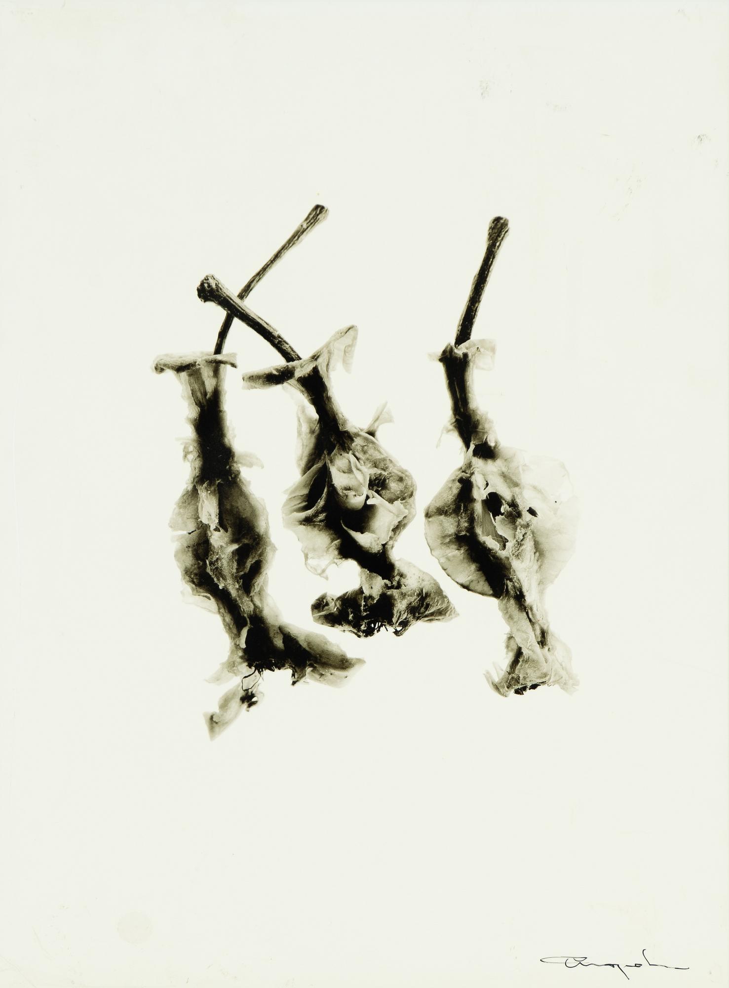 Ingvar Eriksson, apples.