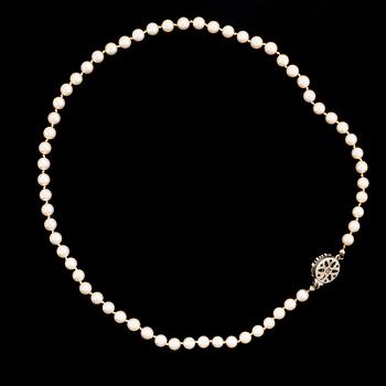 Cultured pearl necklace, clasp silver.