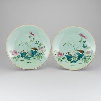 A pair of 20th Century China celadon plates.