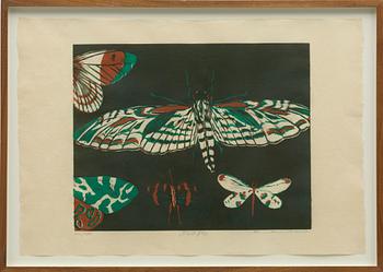 Mamma Andersson, "Nattfly".