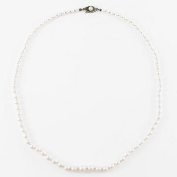 Necklace of cultured pearls, clasp silver.
