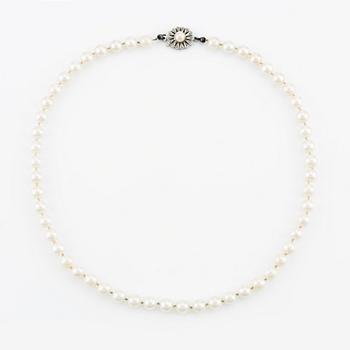 Pearl necklace, cultured pearls, white gold clasp with pearl.