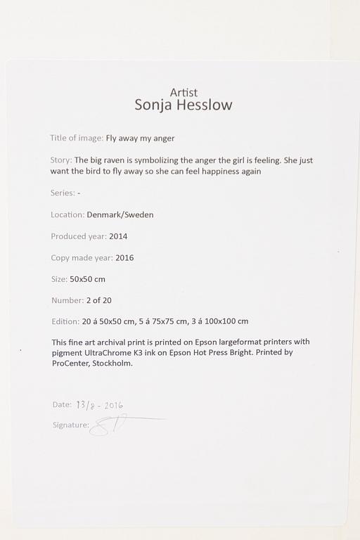 Sonja Hesslow, "Fly Away My Anger",2014.