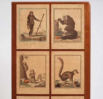 Josef Frank, 'Apskåpet' (The monkey cabinet), a rare cabinet covered with prints of different monkeys, Svenskt Tenn, Sweden ca 1941.