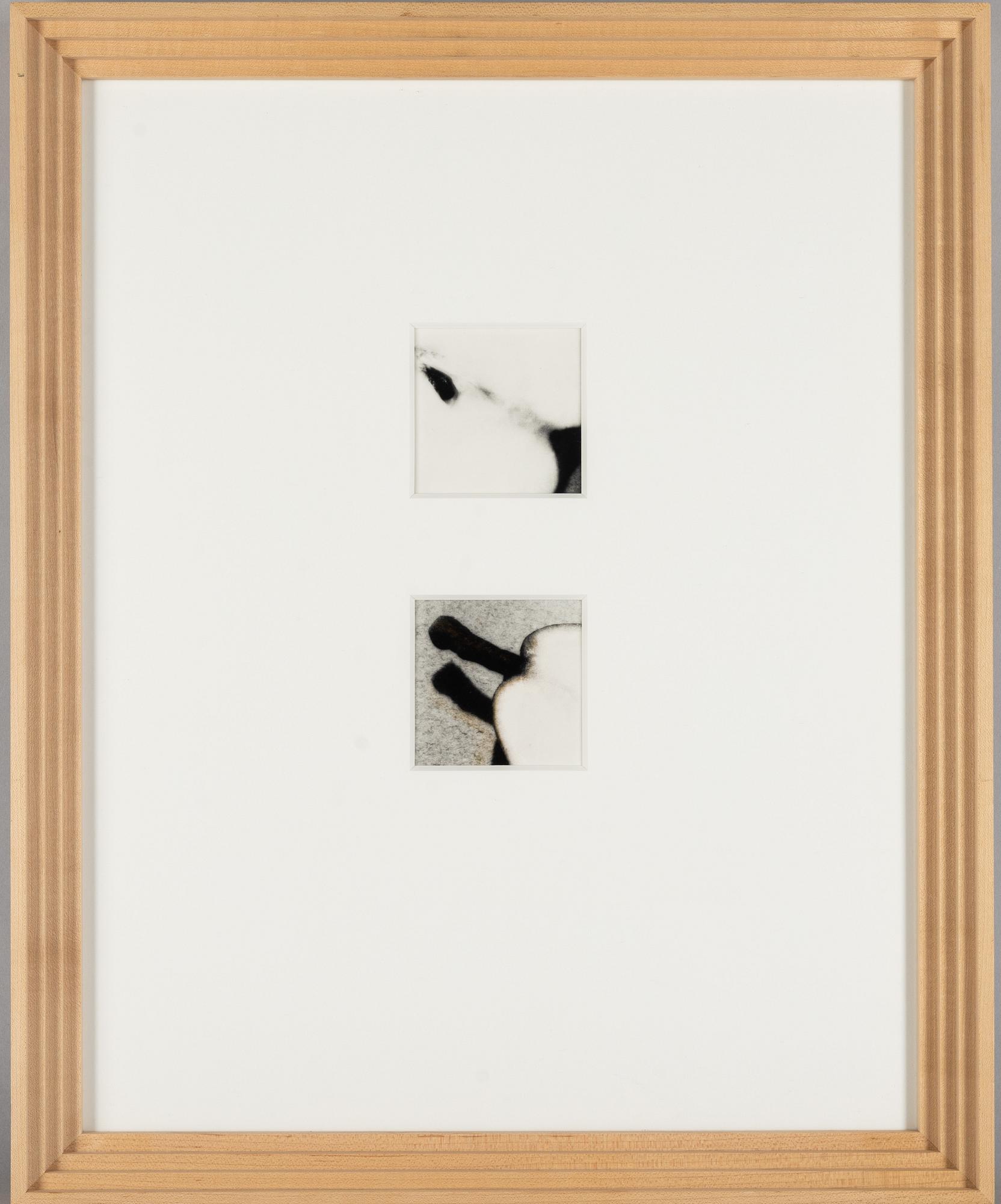 Martina Leo, Diptyk ur verket "Lustsvit", 1999.