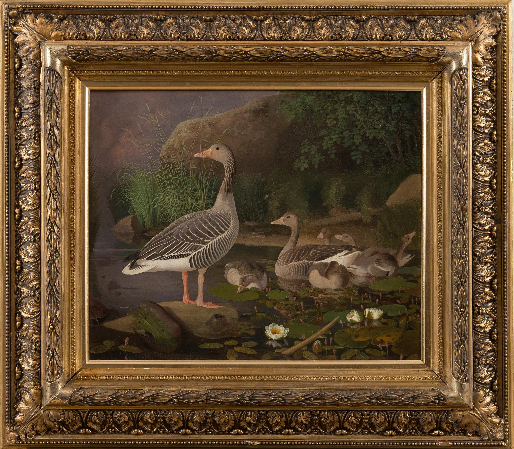 FERDINAND VON WRIGHT, "GRÅGÅSFAMILJ".