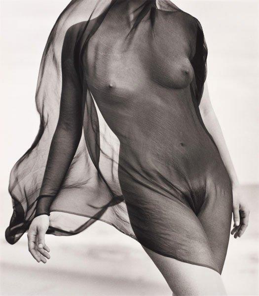 Herb Ritts, "Female torso with veil", Paradise Cove 1984.