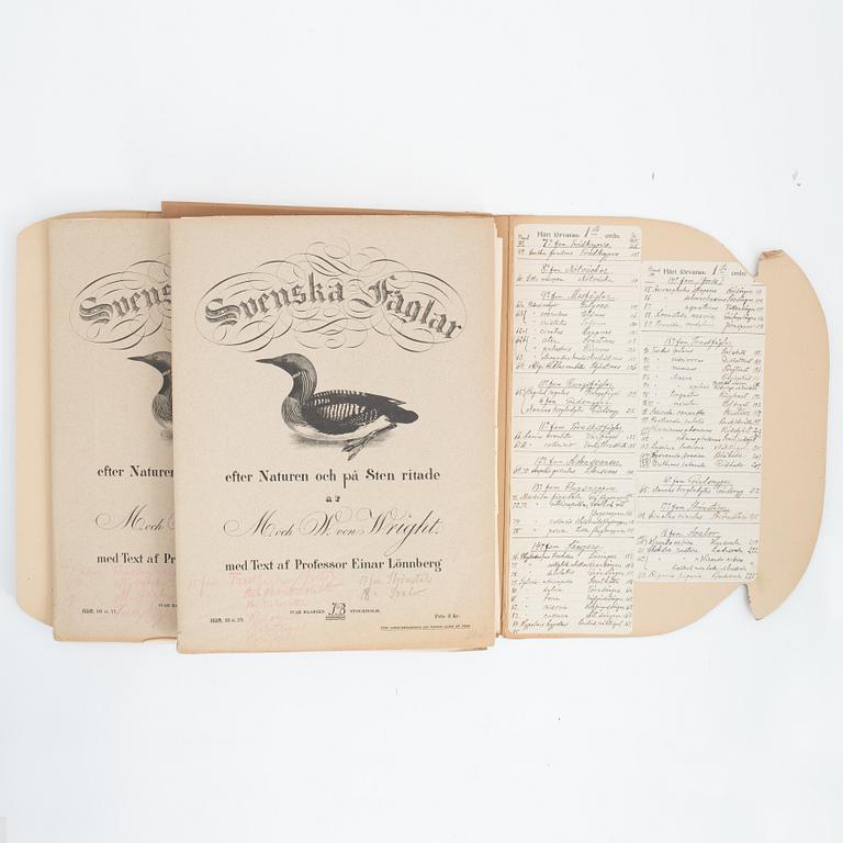 Bröderna von Wright, planschverk, "Svenska Fåglar", Ivar Baarsens förlag, Stockholm, 1920-tal.