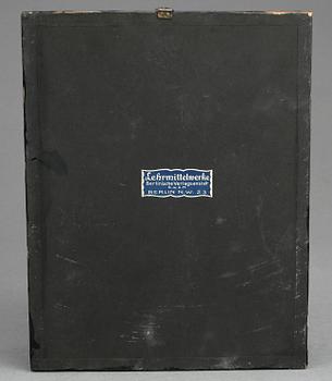 ANATOMISK MODELL, Lehrmittelwerke, Berlin, Tyskland 1900-talets första del.