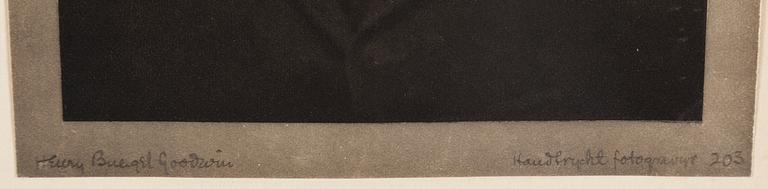 HENRY B. GOODWIN, hand printed photo gravure, signed.