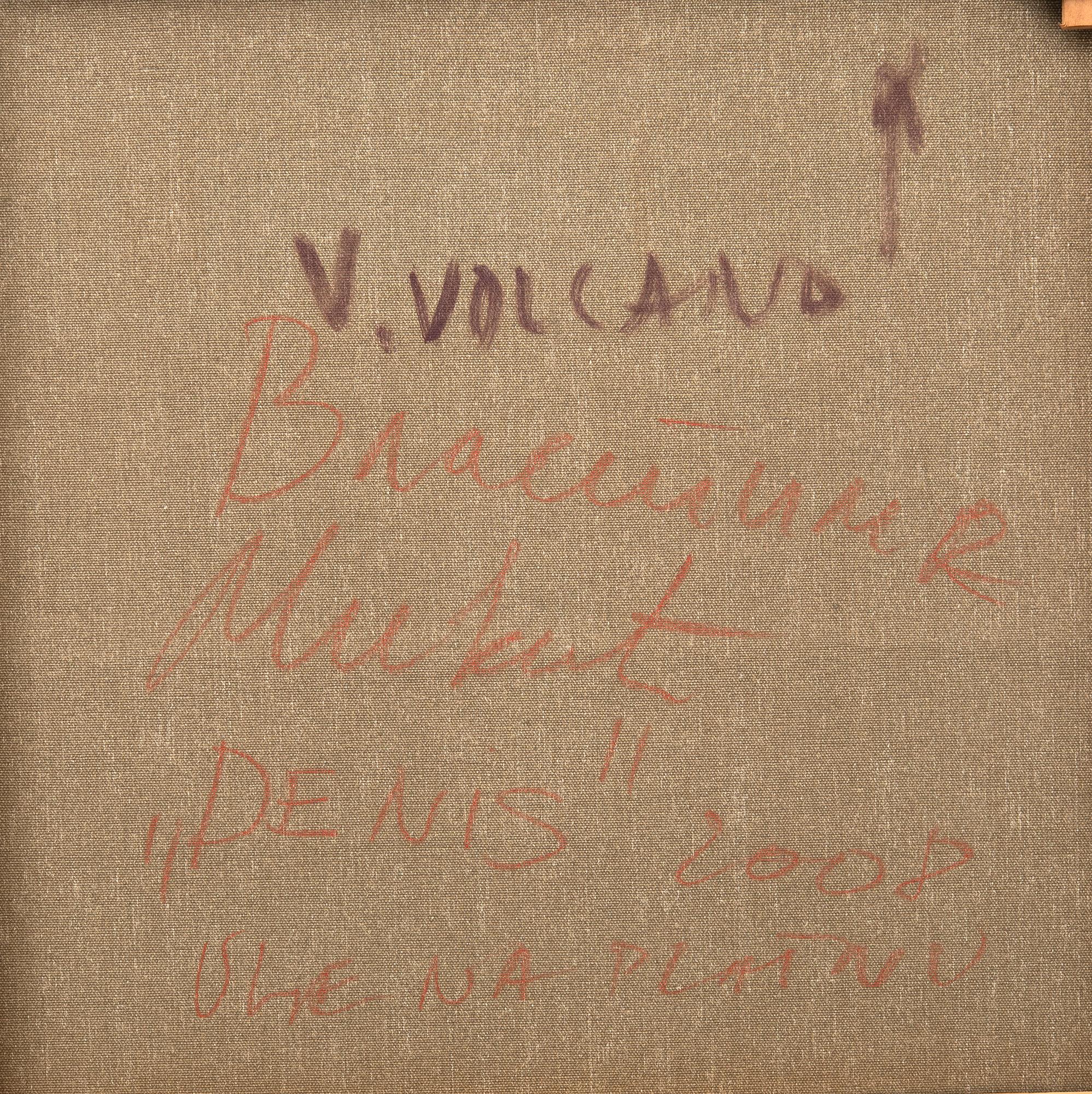 Vlasta Volcano, "Denis".