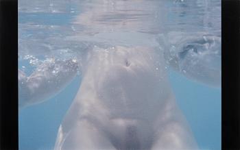 PAOLA SUHONEN, colour print on aluminium, a tergo signed and dated 2016, numbered 1/1.