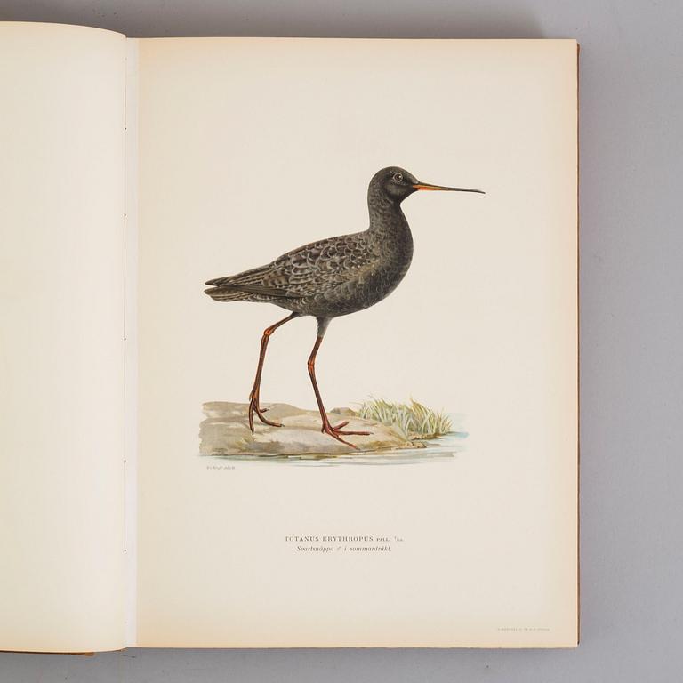 Three book "Svenska fåglar (Swedish birds)" with images by M, W & F VON WRIGHT, printed by Börtzells AB, 1924-1929.