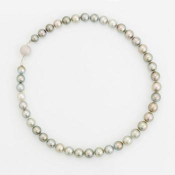 Collier odlade Tahitipärlor.
