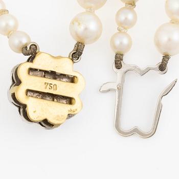 Necklace two rows of cultured pearls clasp 18K gold with a cultured pearl.