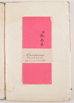 An album with 12 Chinese paintings by anonymous artist, Qing dynasty, 19th Century.