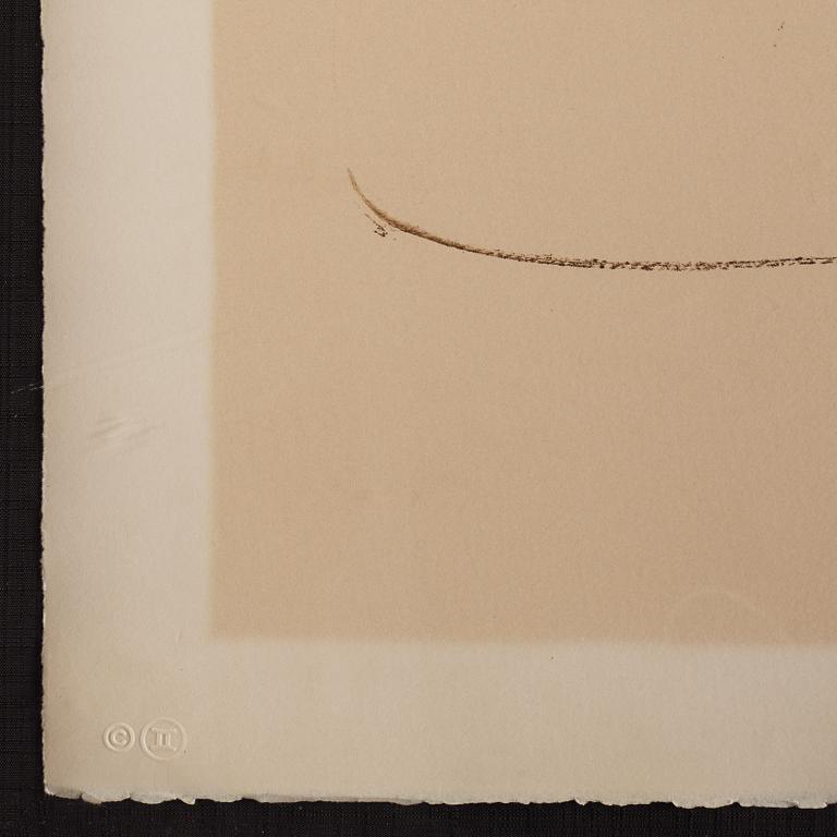 Robert Rauschenberg, lithograph in colours. Signed and numbered 17/39.