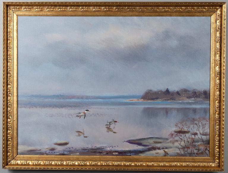 Lindorm Liljefors, BIRDS BY THE SHORE, ÅLAND.
