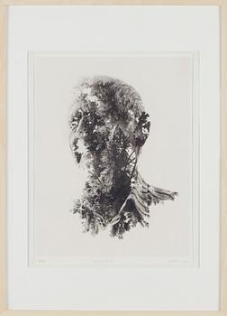 Christoffer Relander, "Old as a Tree".