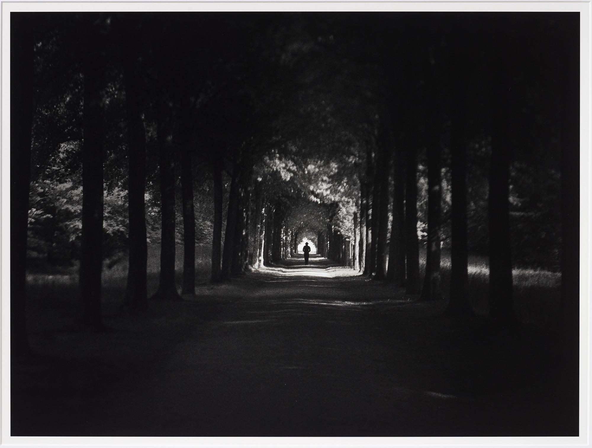 Johan Strindberg, "The Lost Secret of Theodore", 2015.