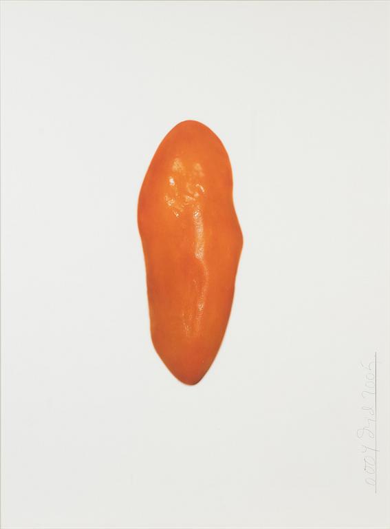 Dawid, photograph signed and dated 2005.