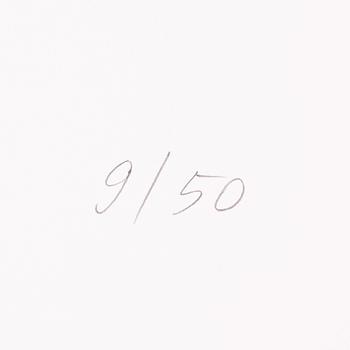 Raul Meel,  "Windows and Landscape 2".