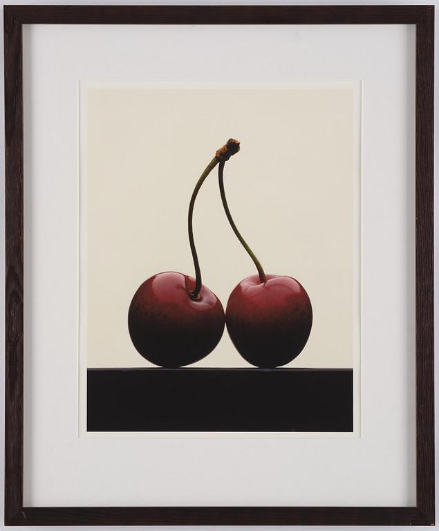 Dawid (Björn Dawidsson), Utan titel.