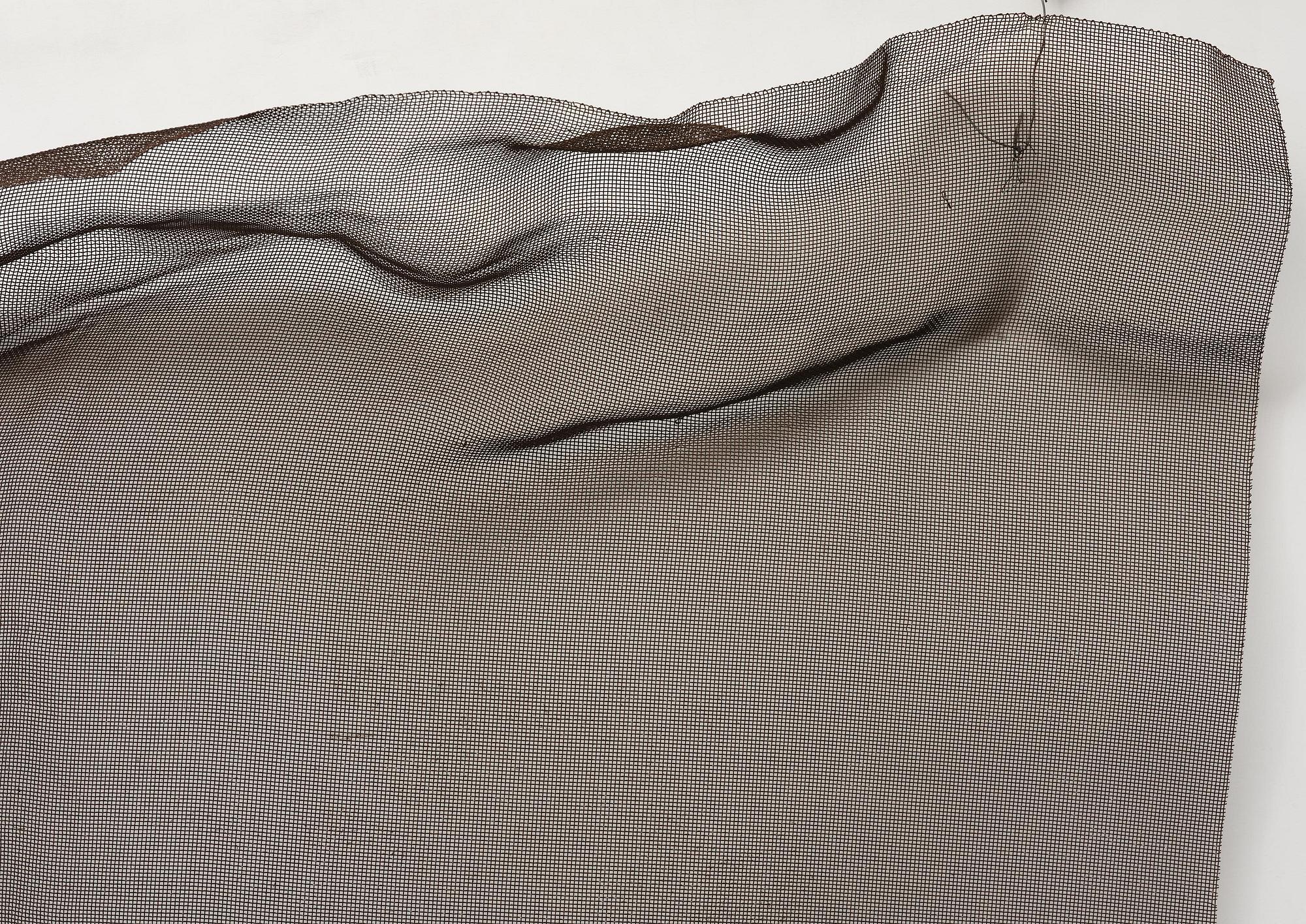 Barbro Bäckström, Untitled.