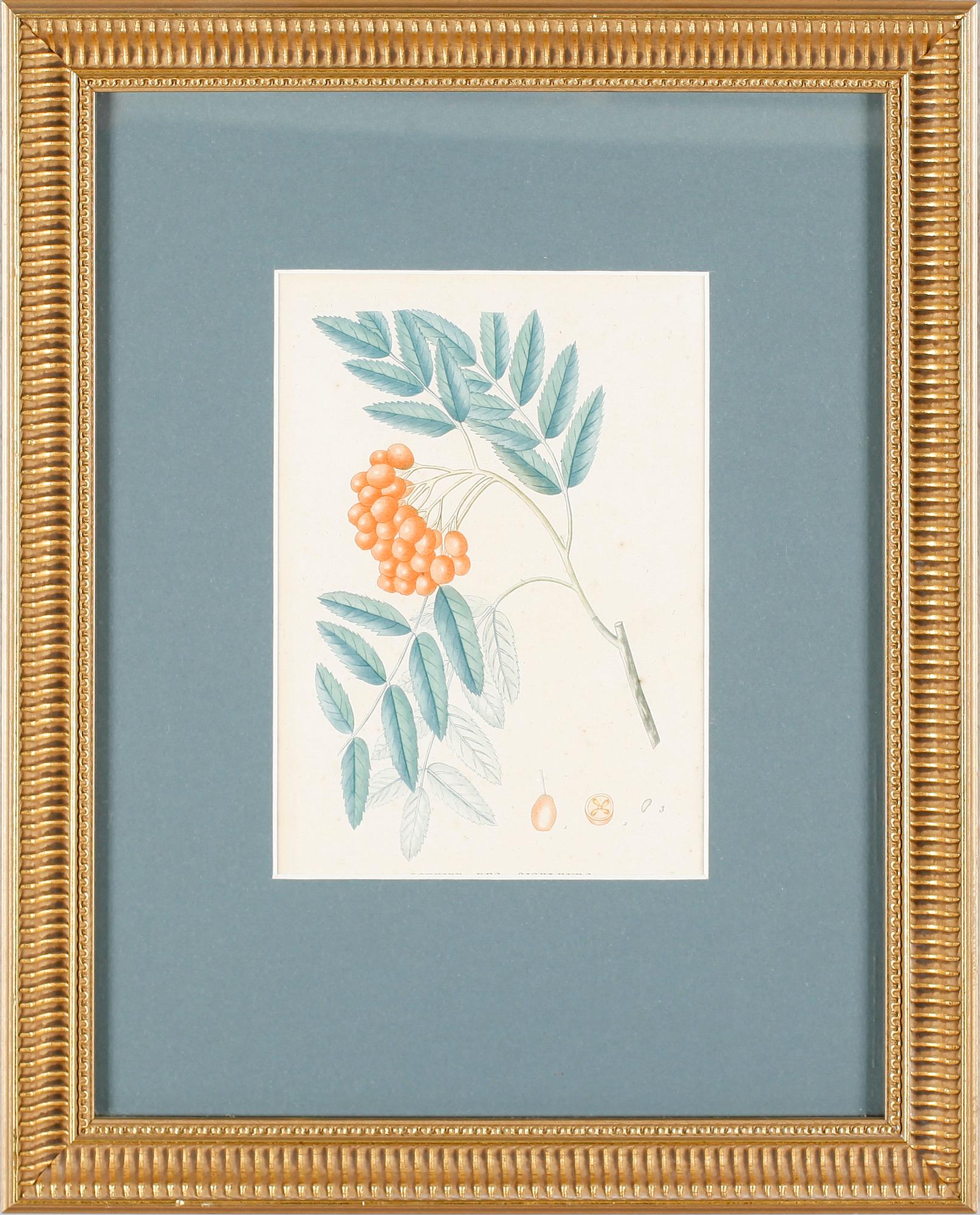 LITOGRAFISKA TRYCK, 2 st, 1800-/1900-tal.