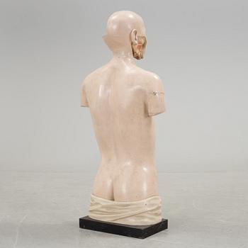 An anatomical model by Franz Jos. Steger, Leipzig, mid 20th century.