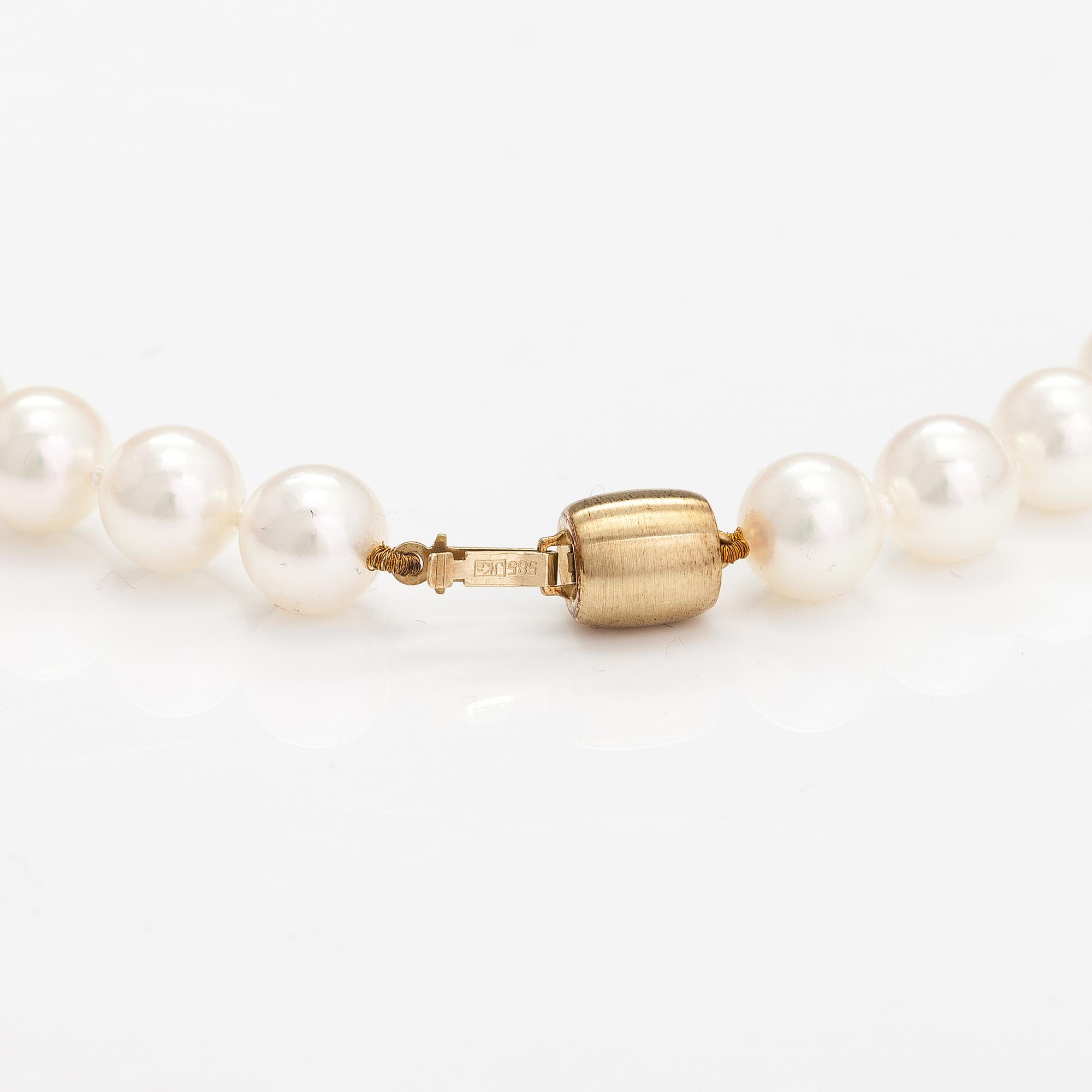 A pearl collier with ajoya pearls and a 14K gold clasp. Torbjörn Tillander, Helsinki 2015.