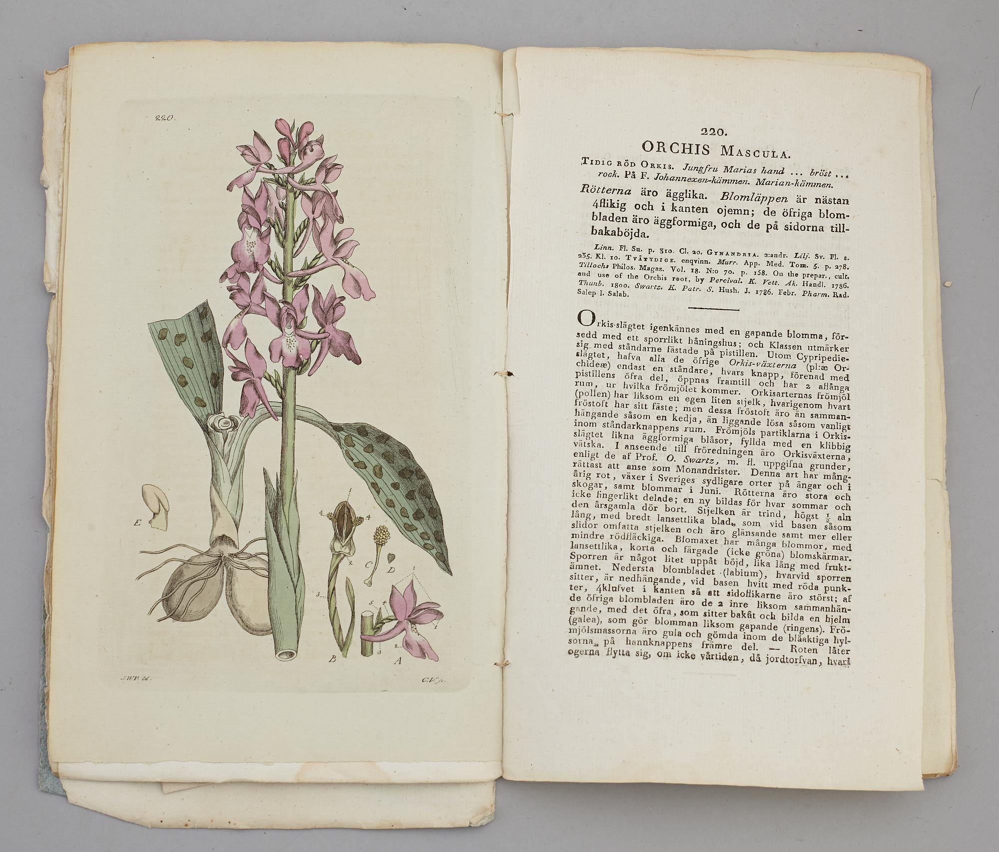 JOHAN WILHELM PALMSTRUCH, "Svensk Botanik, vol I-V. 1803-1805.