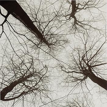 FREDERIK LIEBERATH, photography, archival pigment print. Signed and numbered 1/7 on verso.