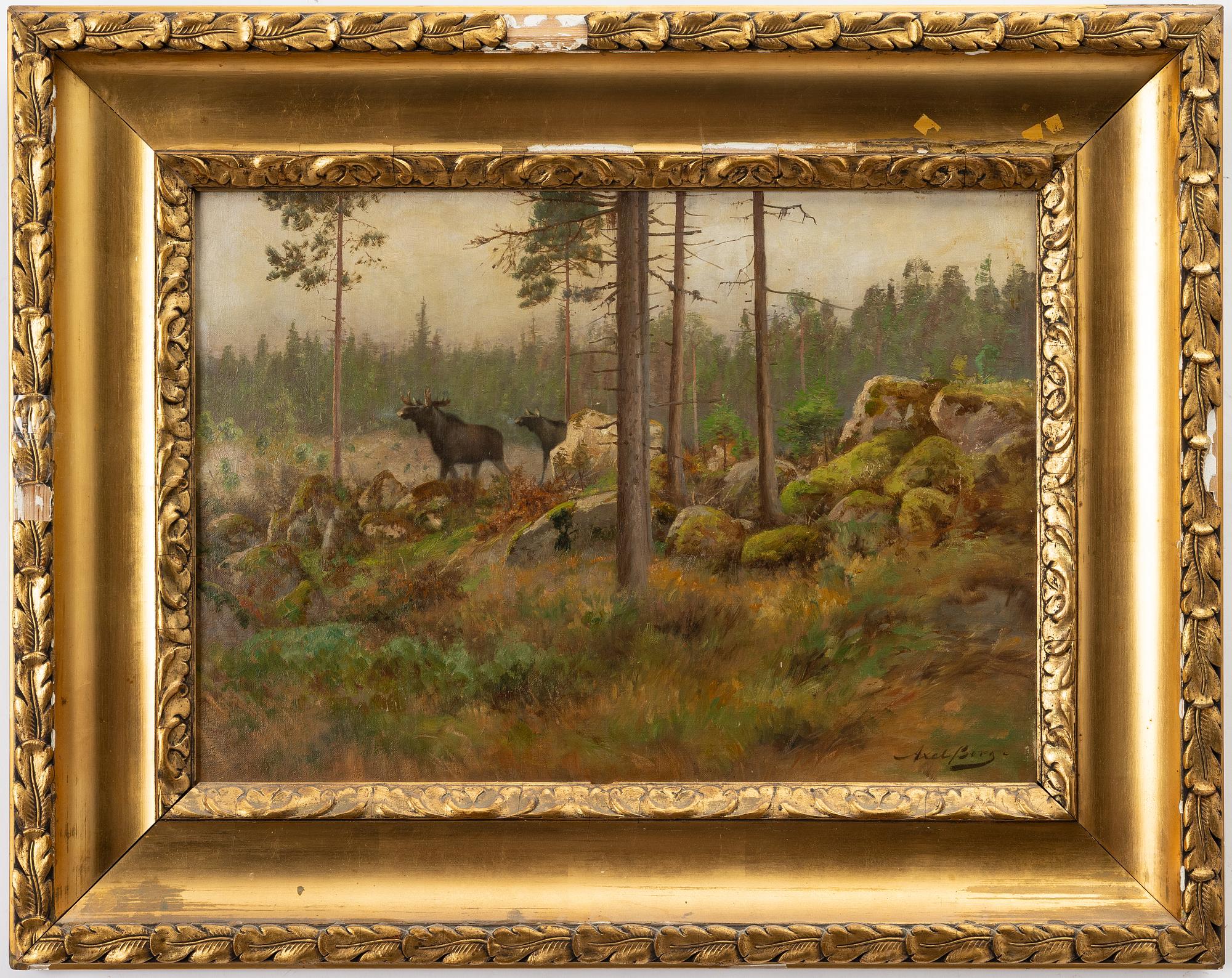 Axel Borg, Moose at a Clear-Cut Logging Site.