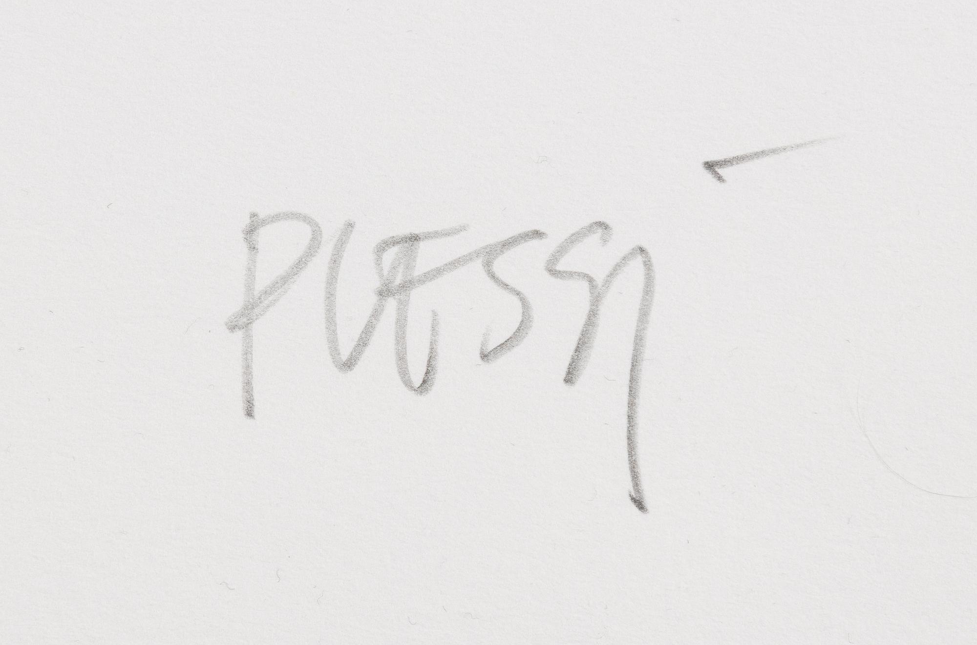 Fabrizio Plessi, "Movimenti della Momoria".