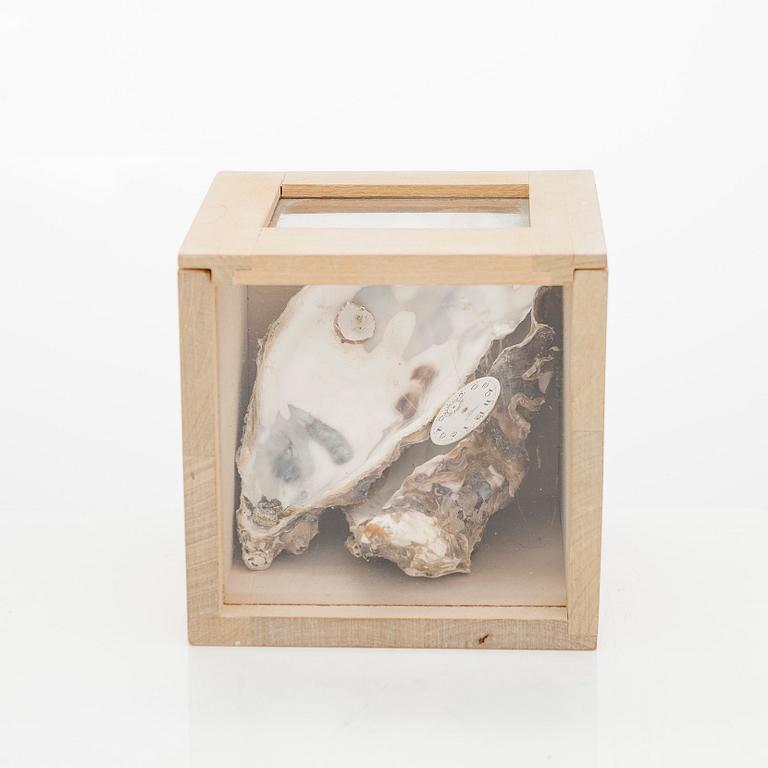 Juhani Harri, Tidsbox.